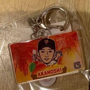 赤星優志 読売ジャイアンツ 宮崎キャンプ アクリルキーホルダー アクキー