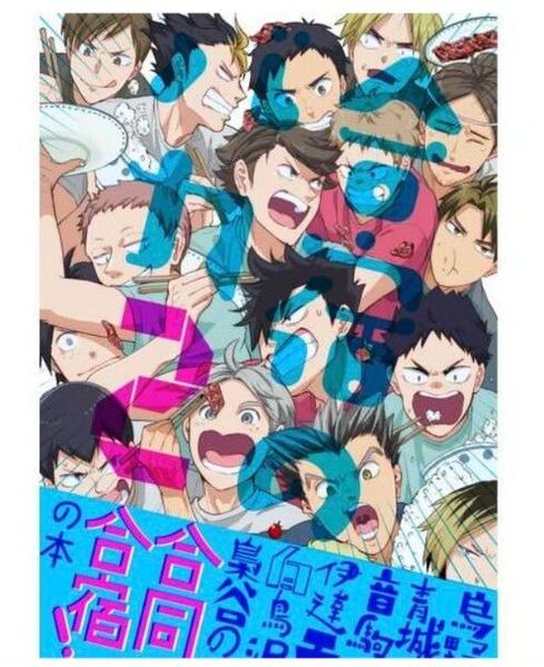ハイキュー 同人誌 合宿のバカ 2 オールキャラ