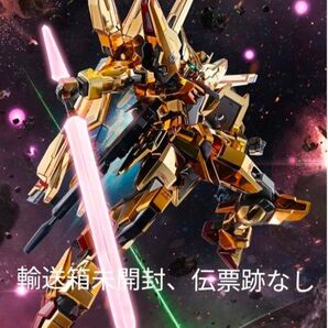 METAL ROBOT魂 アカツキ(シラヌイ装備)SEED FREEDOM Ver ガンダム フィギュア