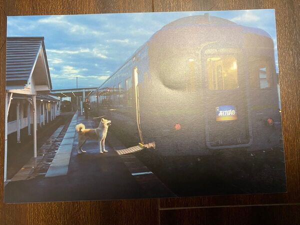 【未使用品】あけぼの:寝台列車:寝台特急:鉄道と犬のポストカード:秋田県イベント