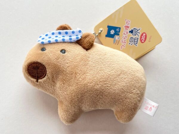 つぶらな瞳の温泉 【かぴばら】