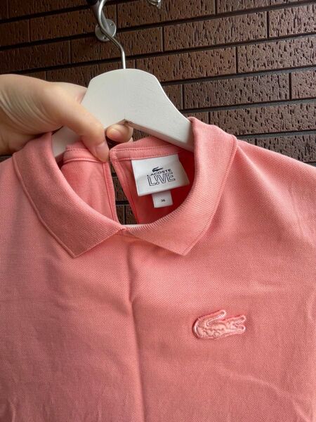 LACOSTE ゴルフウェア レディース