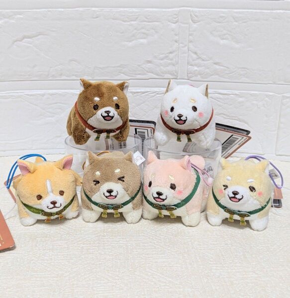 忠犬もちしば スクっとポーズぷち 6種セット