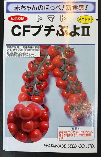 値下 ぷちぷよ ミニトマト 種 小分け売り