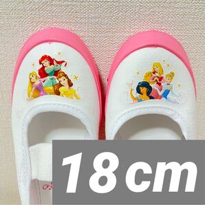 新品 人気 上履き ディズニー プリンセス 大集合 上履き 18cm バレエ