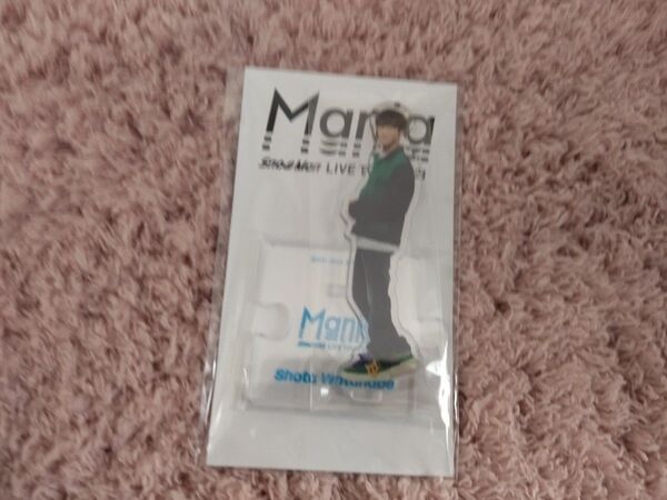 アクリルスタンド Snow Man LIVE TOUR mania 渡辺翔太