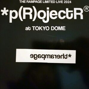 THE RAMPAGE LIMITED LIVE2024 *p(R)ojectR at TOKYO DOME タトゥーシール