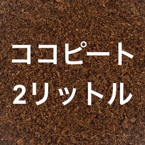 ココピート 2リットル