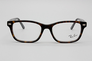 【新品・未使用】Ray・Ban レイバン ブラウンデミ べっ甲色 セルフレーム RB 5345D 2012 53□18 145 