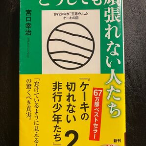 どうしても頑張れない人たち ケーキの切れない非行少年たち 2 (新潮新書 903) 宮口幸治/著