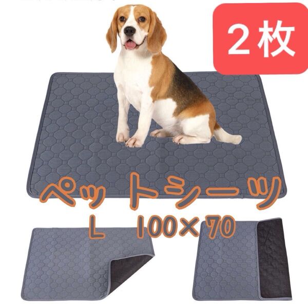 犬 グレー 洗える 防水 ペットマット 猫 シーツ シート 介護 エコ 速乾 吸水 下敷きマット 動物 車 汚染防止 プレート