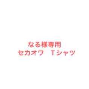 なる様専用 世界の終わり Tシャツ