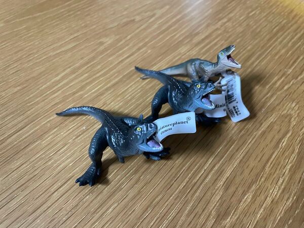 ミニチュアプラネット ヴェロキラプトル カルノタサウルス フィギュア