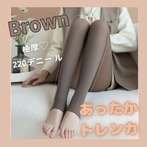 トレンカ タイツ 裏起毛 ブラウン 極厚 透明感 あったか 極暖 美脚 シアー 防寒 暖かい 保温性 高密度 フィット スリム