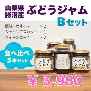 山梨県のぶどうジャム 食べ比べセットB