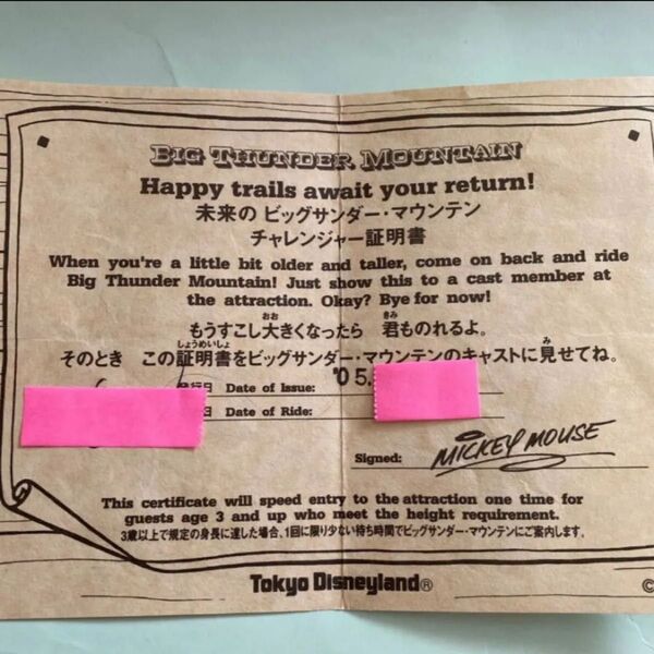 ビッグサンダーマウンテン チャレンジャー証明書 ディズニー