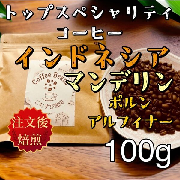 自家焙煎コーヒー豆 インドネシア マンデリン ポルン地区 中深煎り 100g