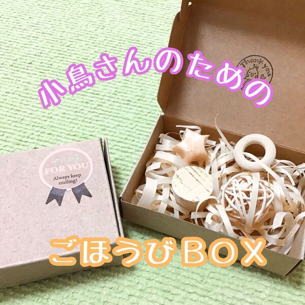 小鳥さんのごほうびBOX★インコや文鳥の小鳥のハンドメイドおもちゃ バードトイ フォージング 輪投げ
