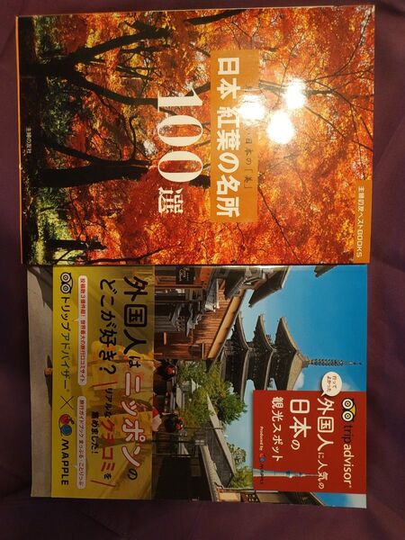 行ってよかった外国人に人気の日本の観光スポット 紅葉の名所