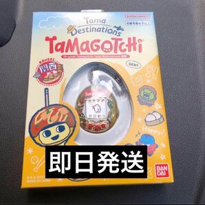 専用出品
