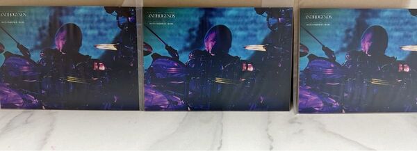 DIR EN GREY ラッフルくじ 【 10連特典 】ブロマイド Shinya