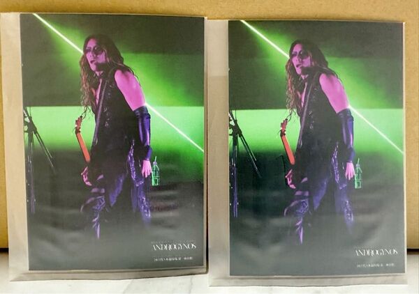 DIR EN GREY ラッフルくじ 【 10連特典 】ブロマイド Die