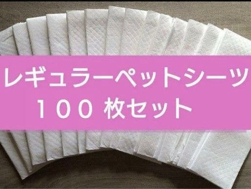 ペットシーツ 100枚 無臭 無香料 100枚 レギュラー 犬 猫 兎 モルモット ハムスター 鳥 災害 備蓄 予備 トイトレ