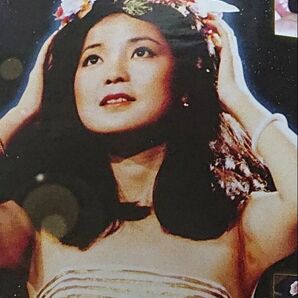 テレサ・テン テレサテン 鄧麗君 パチンコ ガイドブック 小冊子 遊技カタログ 新品 未使用 非売品 希少品 入手困難 送料無料