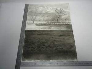 Art hand Auction ｢知床2｣水墨画【坂垣内 将泰】作者直筆原画｢真作｣P10号ハーネミューレ紙【裏面描画有】(経年保管品)【送料無料】00700035, 美術品, 絵画, 水墨画