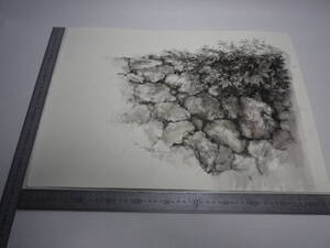 「石垣・福山 ～ ひまわり（裏表描画）」水墨画【坂垣内 将泰】作者直筆原画「真作」P10号ハーネミューレ紙(経年保管品) 送料無料 00700158