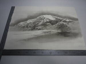 Art hand Auction لوحة حبر Mt Ibuki 3 [Masayasu Sakagauchi] لوحة المؤلف الأصلية ورق Hahnemühle الأصلي بحجم P10 (عنصر تخزين قديم) [شحن مجاني] 00700161, عمل فني, تلوين, الرسم بالحبر