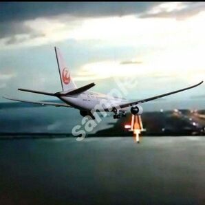 2025 JAL 航空機模型 787-9 フライト カレンダー 1枚タイプ