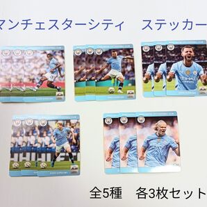 マンチェスターシティ ステッカー15枚セット