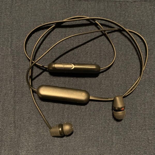 SONY(ソニー)Bluetooth ワイヤレスイヤホン WI-C200
