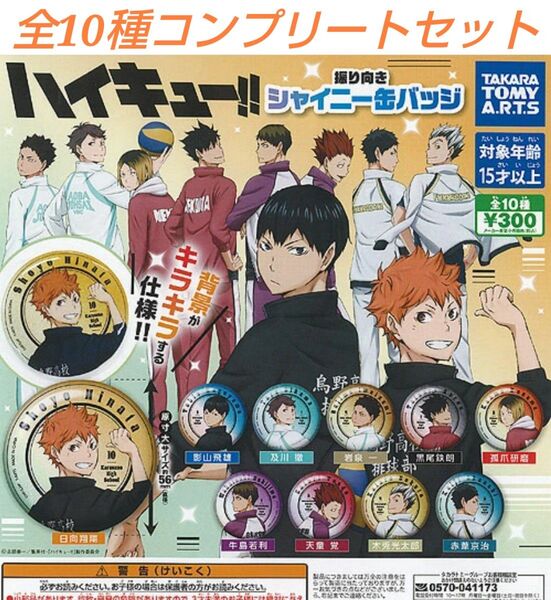 ハイキュー!! 振り向き シャイニー缶バッジ 全10種コンプセット ガチャ