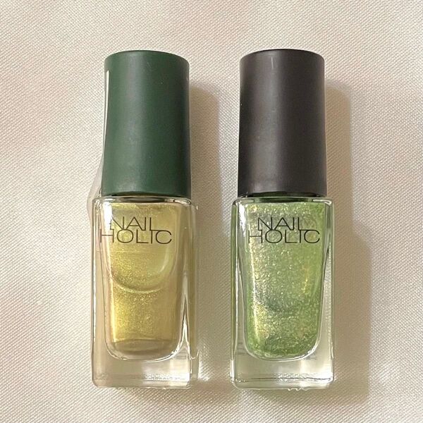 NAIL HOLIC ネイルホリック GR718 GR734 2本セット