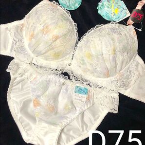 D75 フリル水彩シアーブルームブラジャー&フルバックショーツ 花柄 刺繍