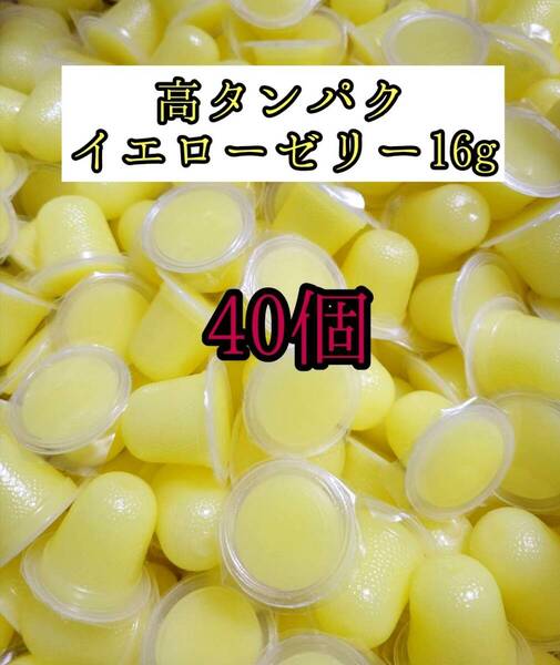 高タンパク イエローゼリー16g 40個 クワガタ カブトムシ オオクワガタ フクロモモンガ ハムスター 小動物 プロゼリードルクスゼリー