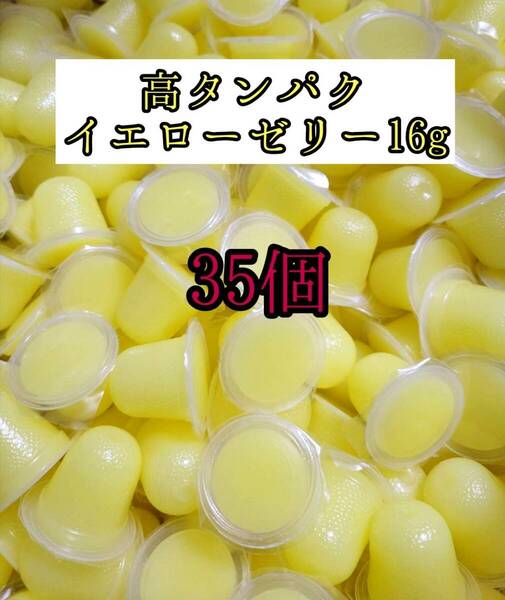 高タンパク イエローゼリー16g 35個 クワガタ カブトムシ オオクワガタ フクロモモンガ ハムスター 小動物 プロゼリードルクスゼリー