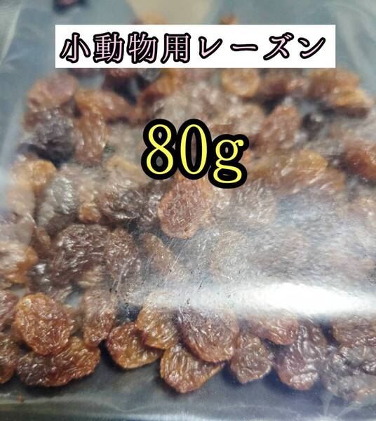 小動物のおやつ ドライレーズン80g レーズン 干し葡萄 ハムスター チンチラ デグー モルモット