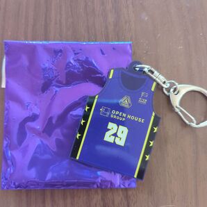 値下げしました!群馬クレインサンダーズ アクリルキーホルダー 細川一輝 キーホルダー