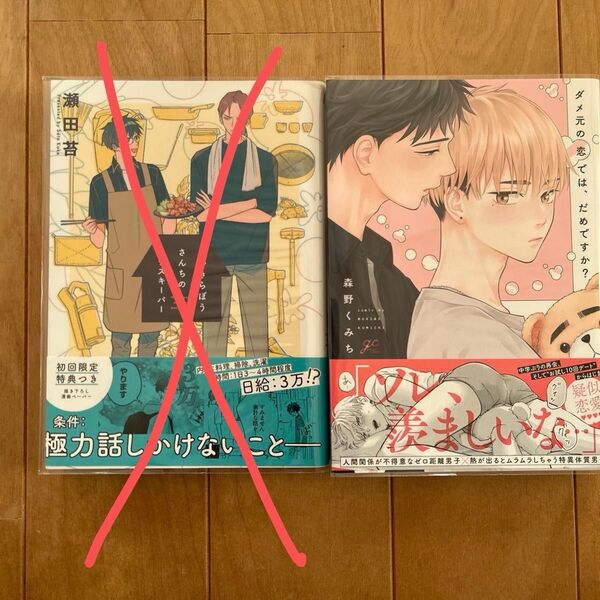 ぶっきらぼうさんちのハウスキーパー ダメ元の恋では、だめですか?