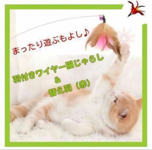 猫 大興奮 ★ 軽量 ワイヤー 猫じゃらし 本体&交換用羽付き(赤)