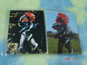 激レア カルビー 旧仮面ライダーカード NO.257（KR10版＆KR11版）写真面異種2枚セット
