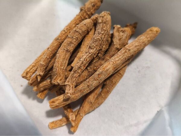 西洋人参 49g (16本)漢方薬