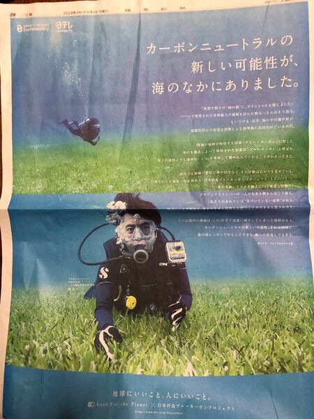 桝太一 新聞広告2枚セット