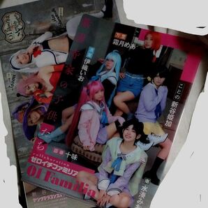 グラビアアイドル A4クリアファイル3枚 & 新谷姫加ポスター 3枚 セット