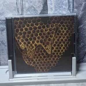 Telephone tel aviv 【Map of What Is Effortless】アルバム CD