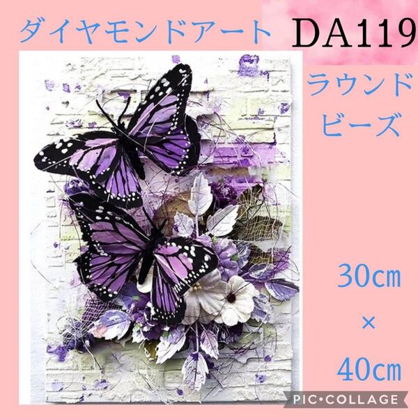 DA119★ダイヤモンドアートキット★ラウンドビーズ
