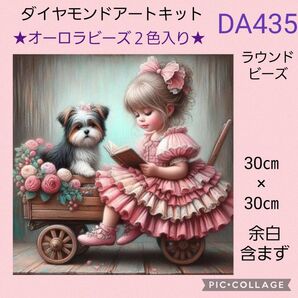 DA435★ダイヤモンドアートキット★ラウンドビーズ